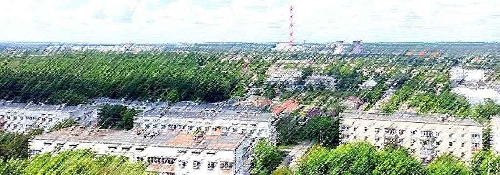 вид надия